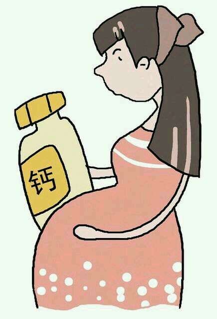 怀6个月怎样补钙？孕中期怎样食物补钙？