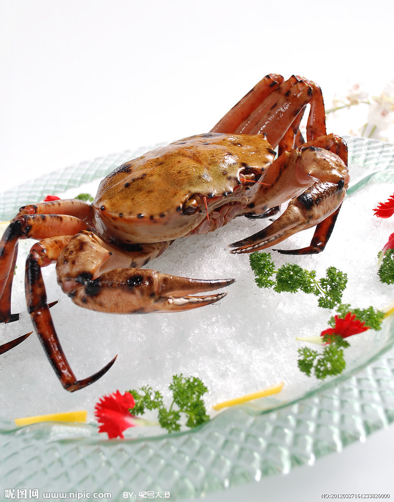 怀孕后不能轻易吃的食物有哪些