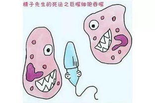 五个简单方法提高受孕几率