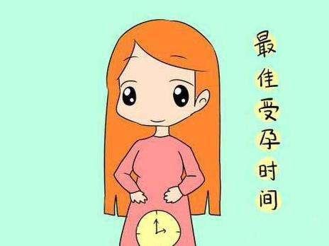 最佳的受孕时间，一天中，四季中，一生中的什